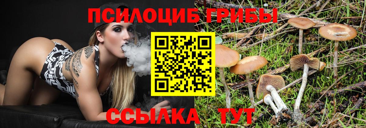 Псилоцибиновые грибы мухоморы Вятские Поляны
